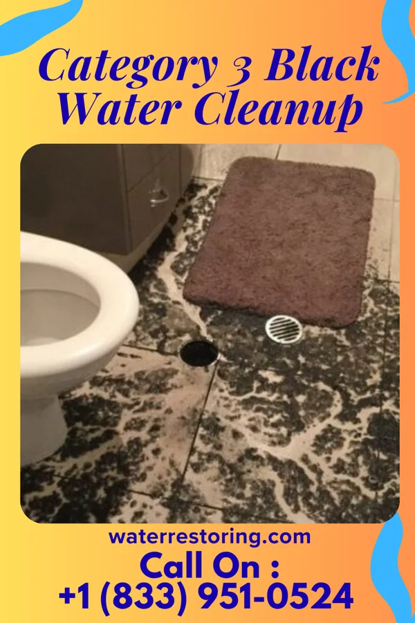 Category 3 Black Water Cleanup in Fort Yates, ND